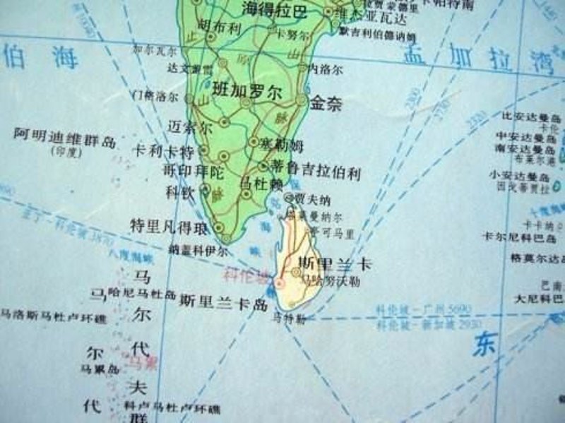 斯迪维官网：前沿技术引领未来潮流